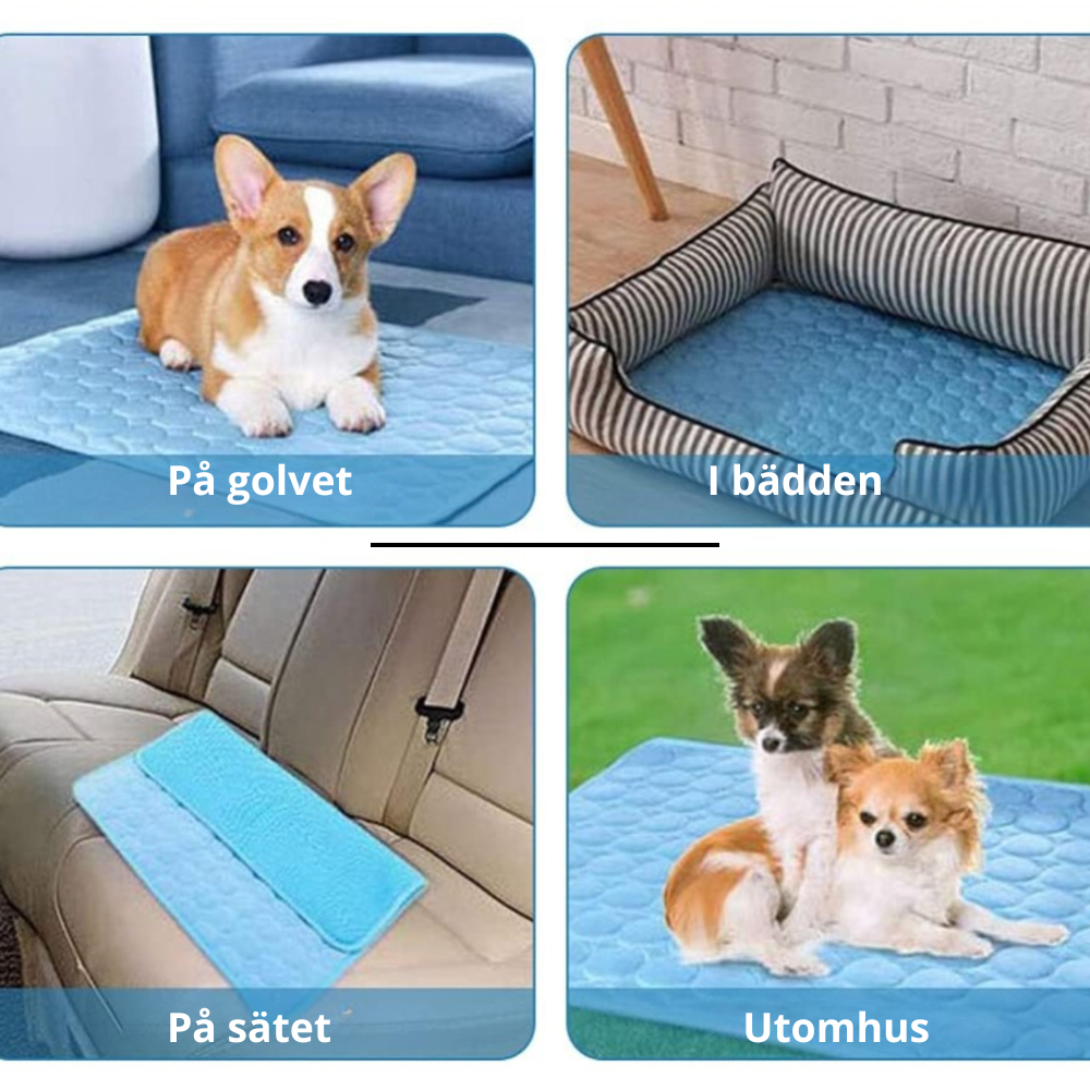 Kjølematte for hund og katt