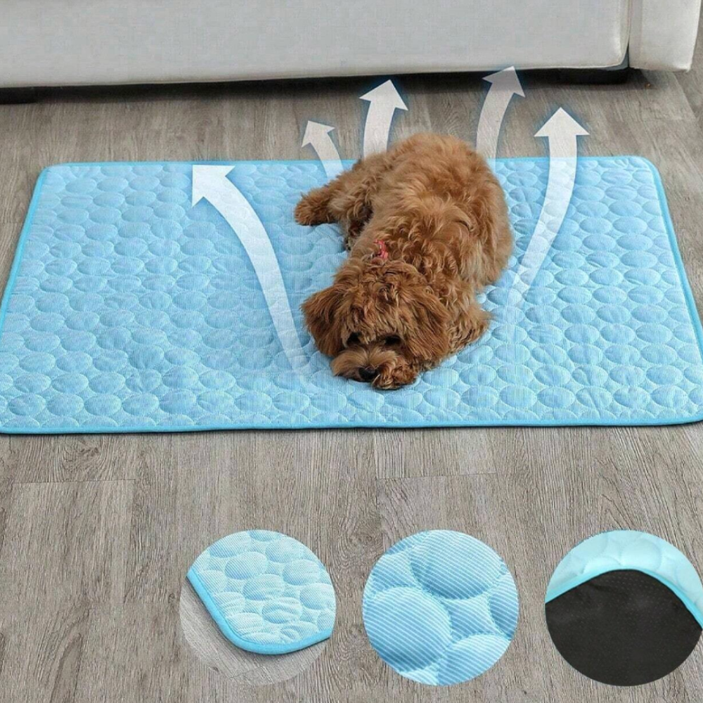 Kjølematte for hund og katt